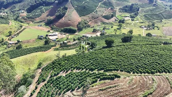Fazenda/Sítios/Chácaras em Dores do Rio Preto - Zona Rural