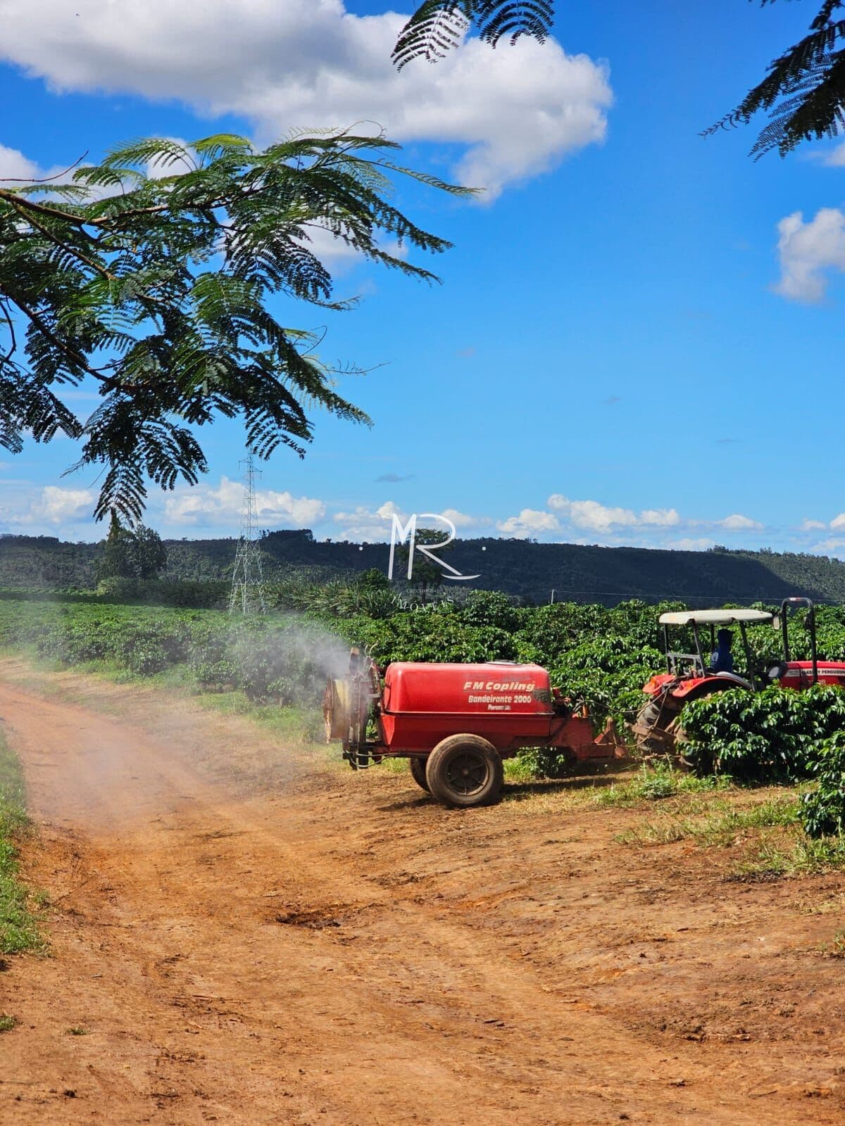 Fazenda/Sítios/Chácaras em Setubinha - Centro