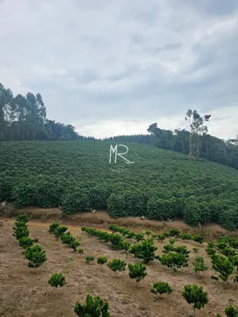 Fazenda/Sítios/Chácaras em Imbé de Minas - Zona Rural