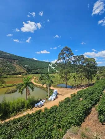 Fazenda/Sítios/Chácaras em Caratinga - Área Rural de Caratinga