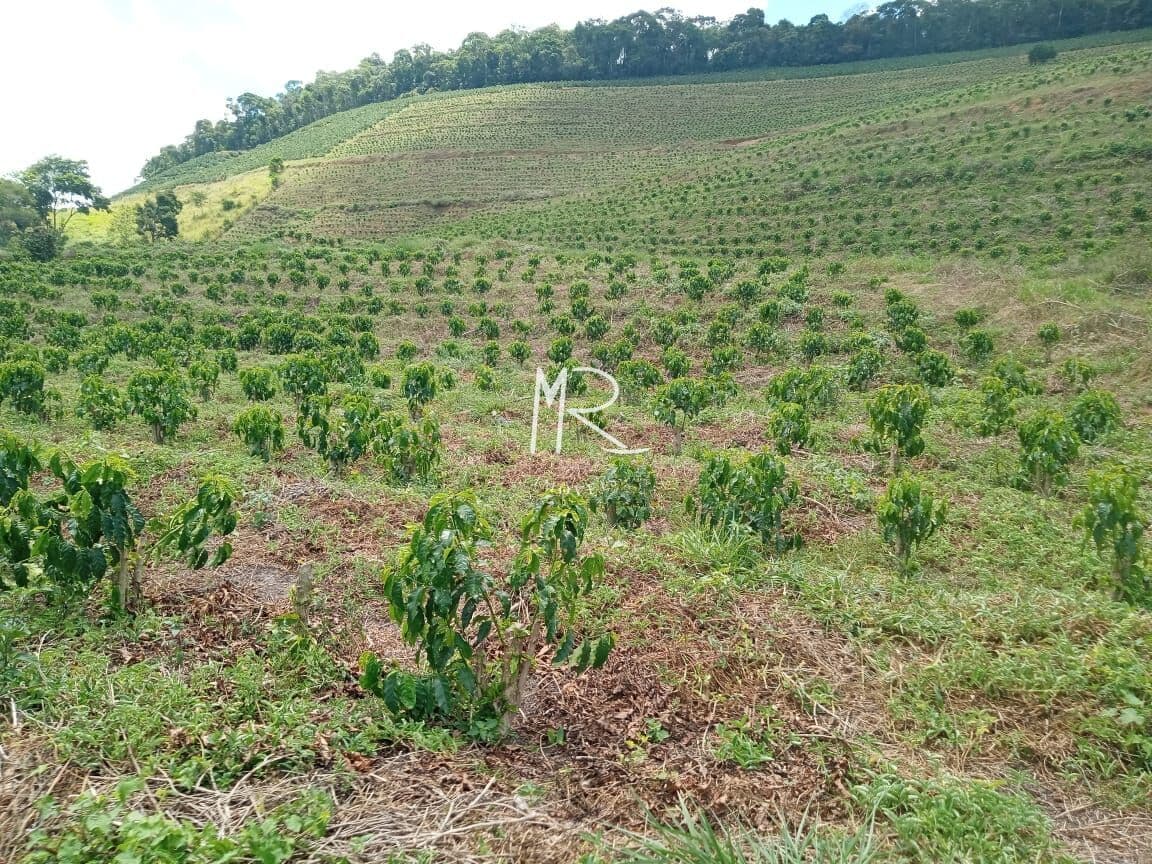 Fazenda/Sítios/Chácaras em Fervedouro - Zona Rural