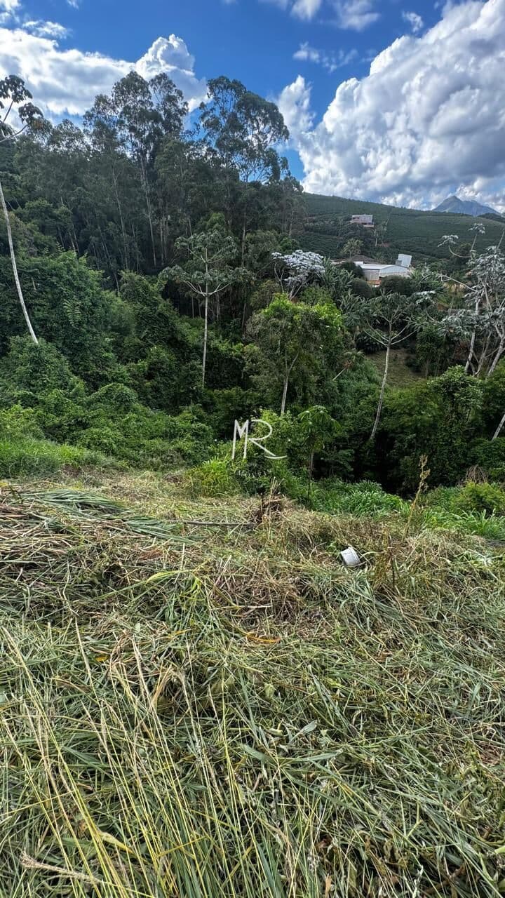 Lote/Terreno em Manhuaçu - Alphaville I
