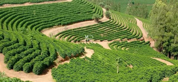 Lote/Terreno em Fervedouro - Zona Rural