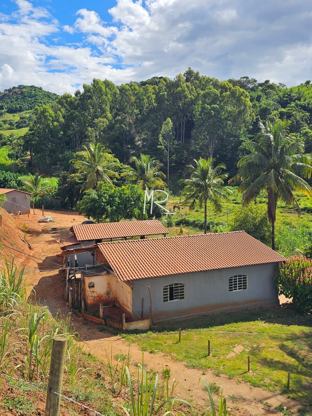 Fazenda/Sítios/Chácaras em Inhapim - Zona Rural
