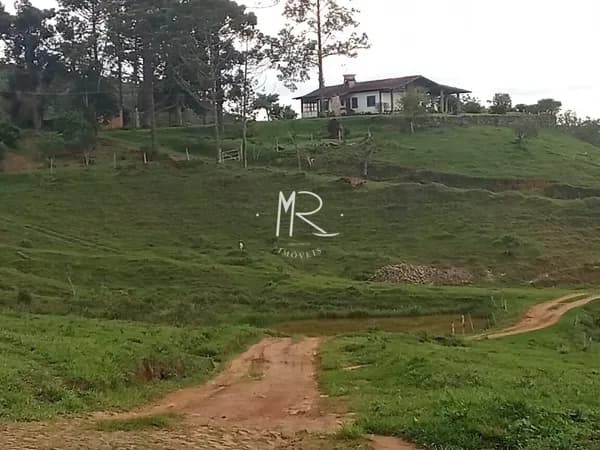 Fazenda Pecuária em Centro, Fervedouro/MG
