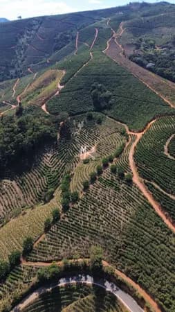 Fazenda/Sítios/Chácaras em Caratinga - Zona Rural