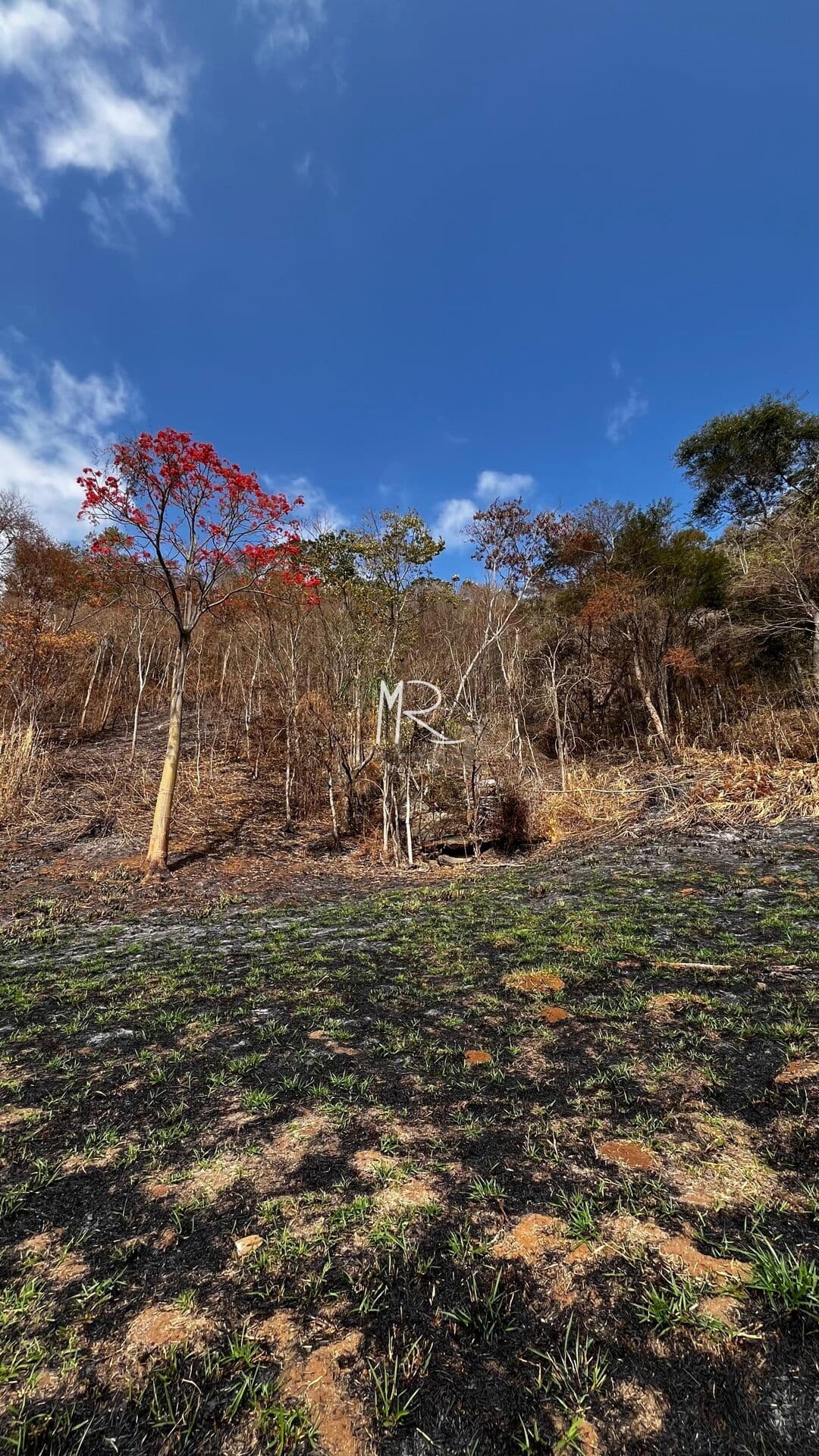Lote/Terreno em Manhuaçu - Ponte da Aldeia