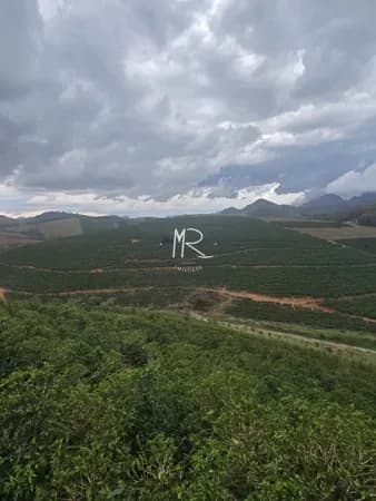 Fazenda/Sítios/Chácaras em Divino - Zona Rural