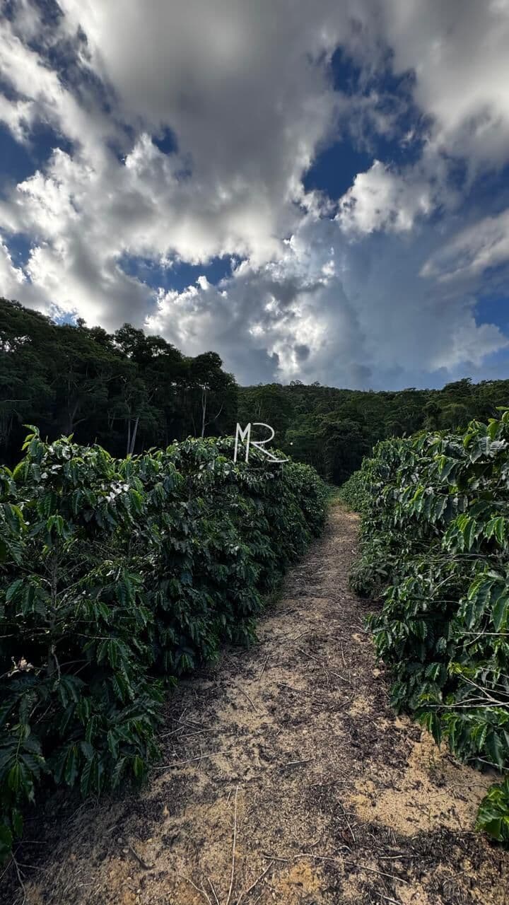 Fazenda/Sítios/Chácaras em Manhuaçu - Zona Rural