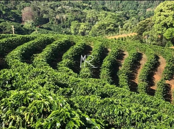 Fazenda/Sítios/Chácaras em Manhuaçu - Zona Rural