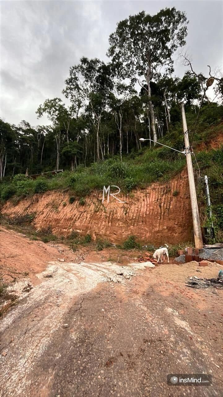 Lote/Terreno em Manhuaçu - Pinheiro