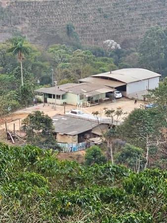Fazenda/Sítios/Chácaras em Santa Bárbara do Leste - Centro