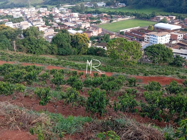 Lote/Terreno em Caputira - Zona Rural