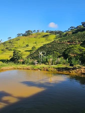 Fazenda/Sítios/Chácaras em Piedade de Caratinga - Centro