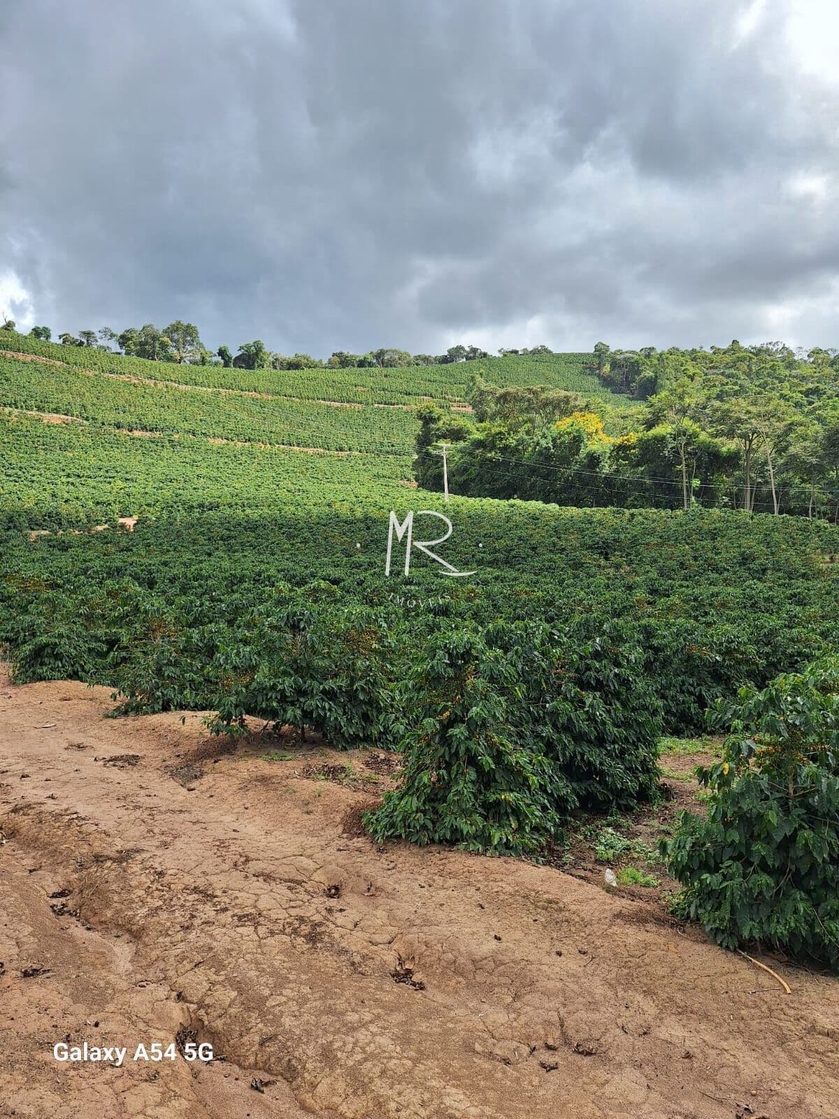 Fazenda/Sítios/Chácaras em Caratinga - Área Rural de Caratinga