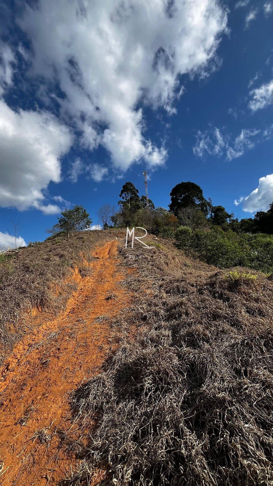 Lote/Terreno em Manhuaçu - Ponte do Silva