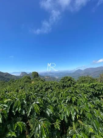 Lote/Terreno em Manhuaçu - Zona Rural
