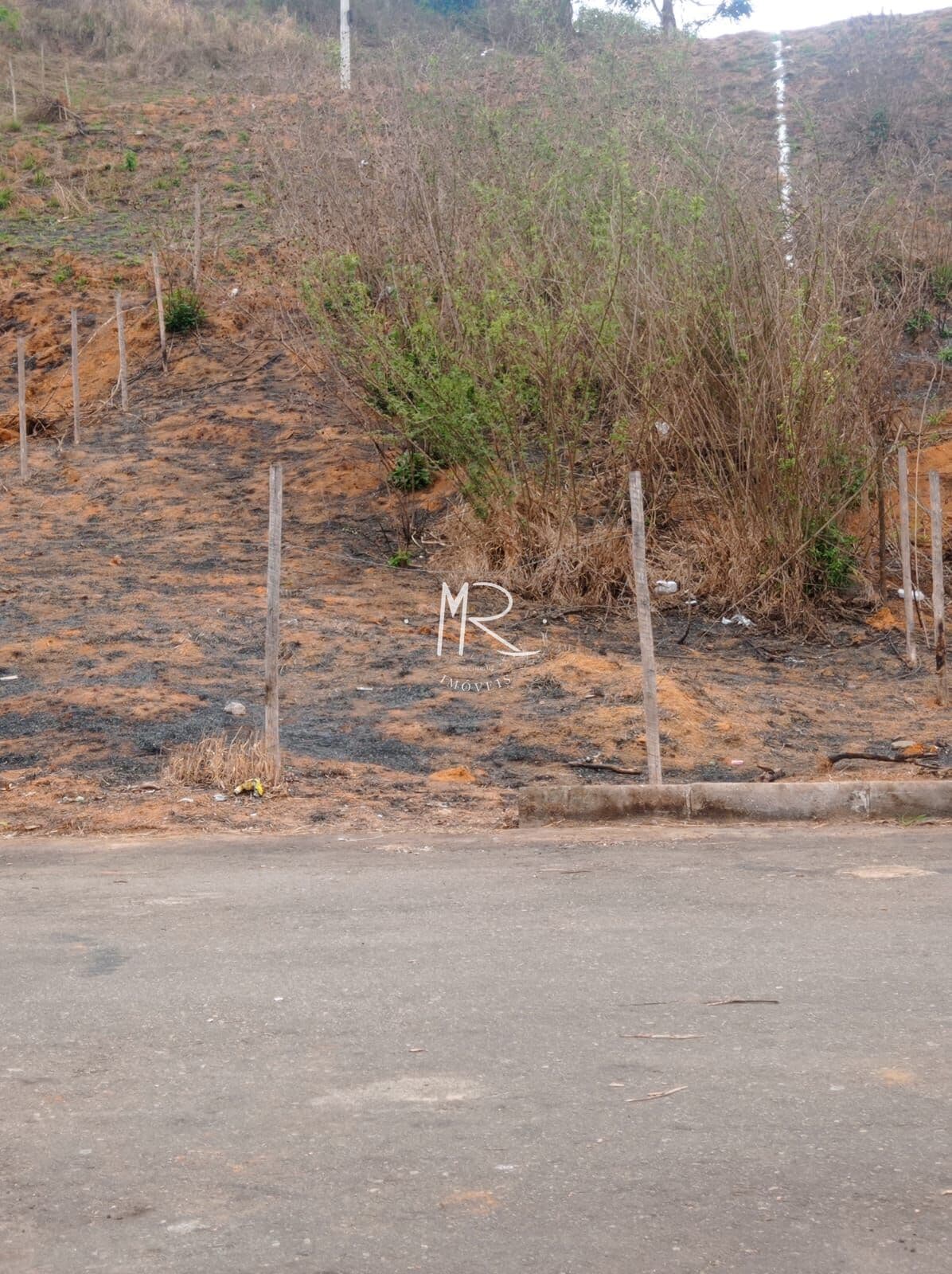 Lote/Terreno em Manhuaçu - Floresta