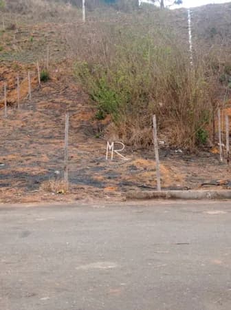 Lote/Terreno em Manhuaçu - Floresta