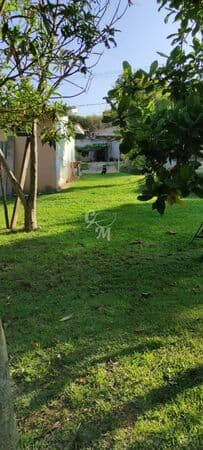 Chácara com muito verde na Roseira