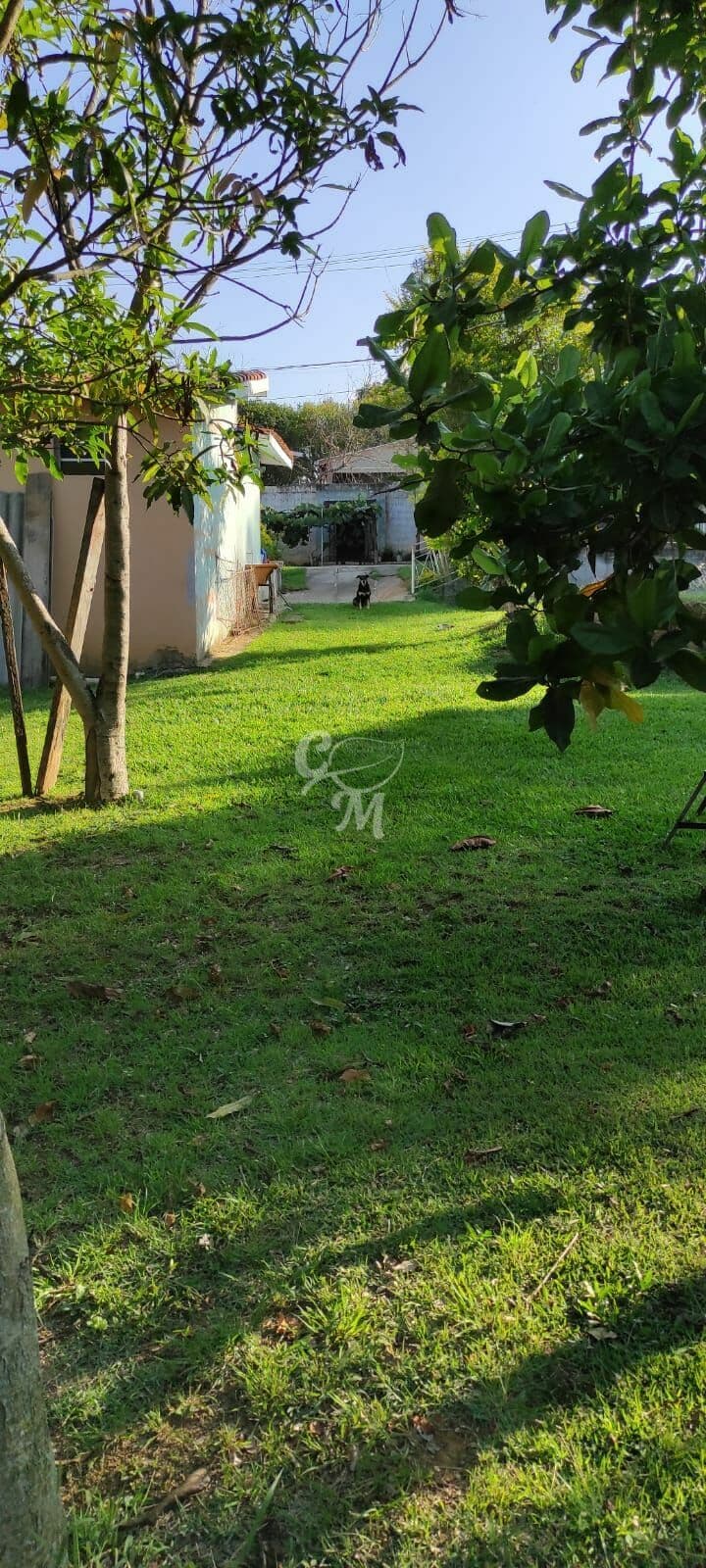 Chácara com muito verde na Roseira