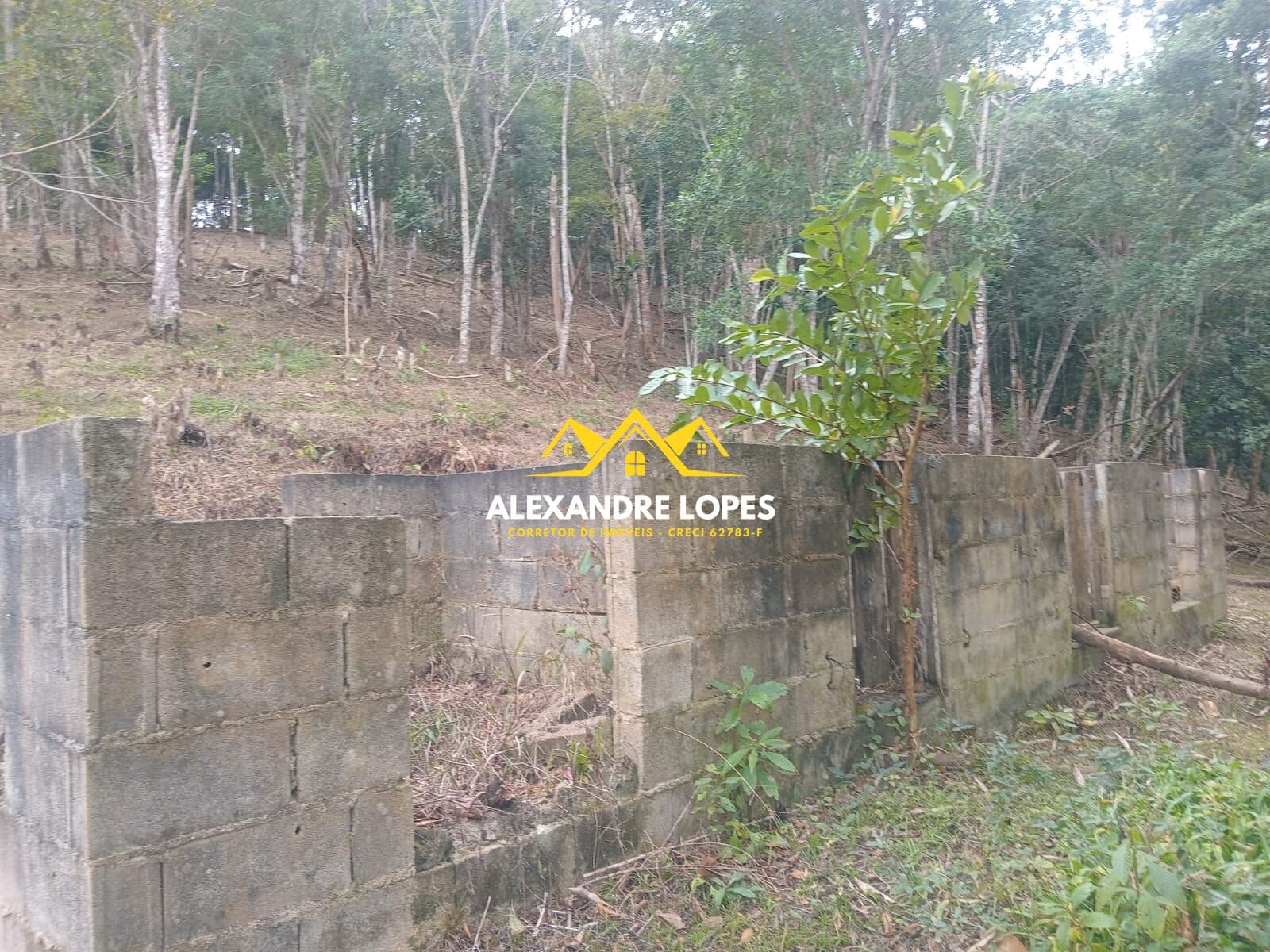 Fazenda/Sítios/Chácaras em Iguape - Jardim Sinhô Rollo