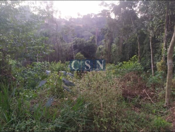 Lote/Terreno em Cotia - Chácara Vista Alegre