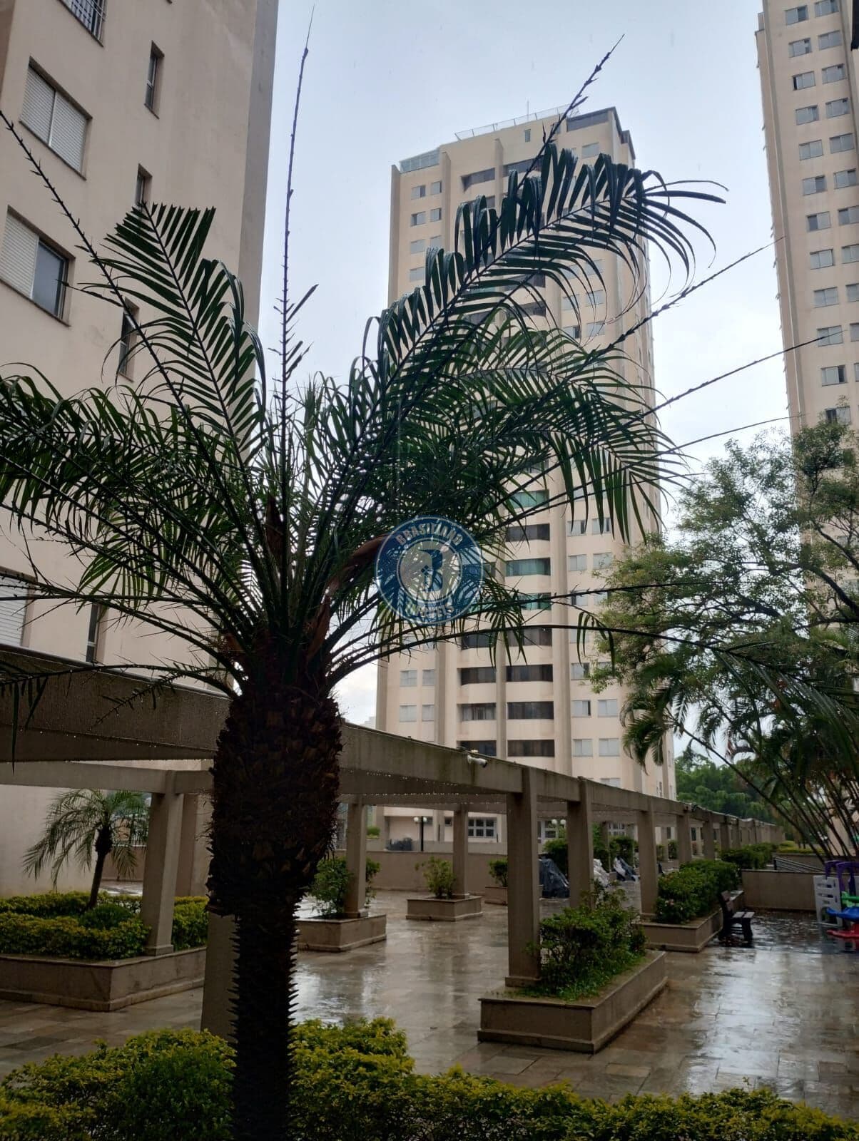 Apartamento no Jardim Marajoara - São Paulo - SP