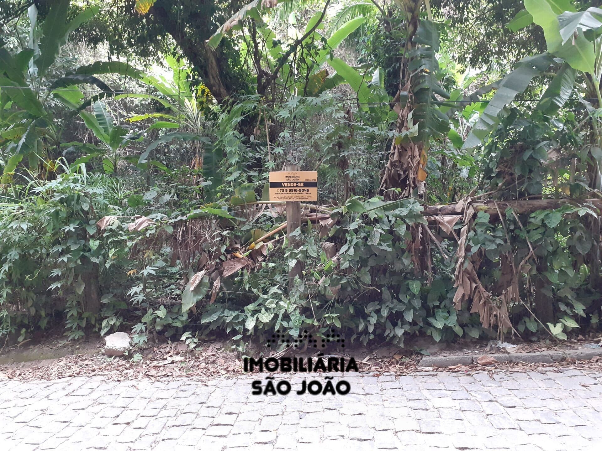 Excelente oportunidade! Terreno à venda no bairro São Francisco