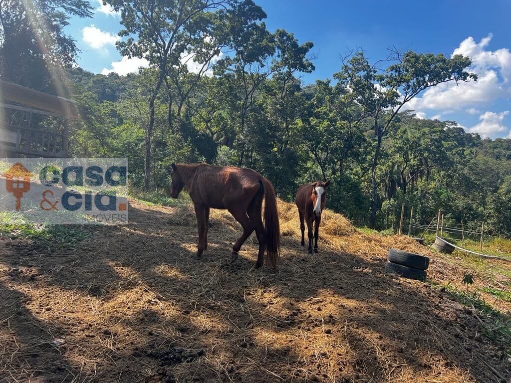 Fazenda/Sítios/Chácaras em Esmeraldas - floresta encantada
