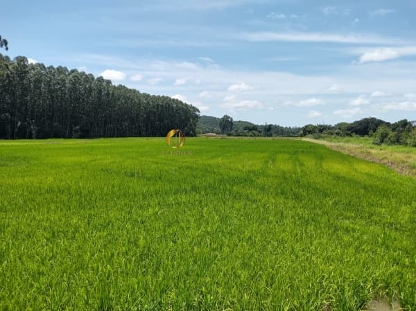 Sítio para Venda em Nova Descoberta Tijucas-SC