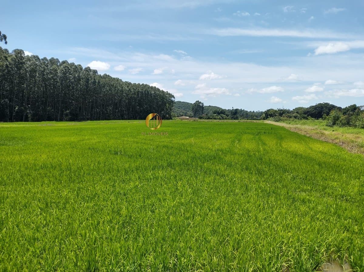 Sítio para Venda em Nova Descoberta Tijucas-SC
