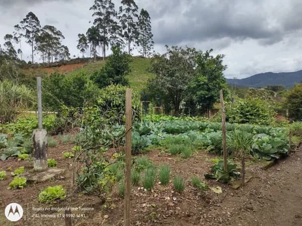 Sítio com 25.000 m² em Tijucas Bairro Oliveira