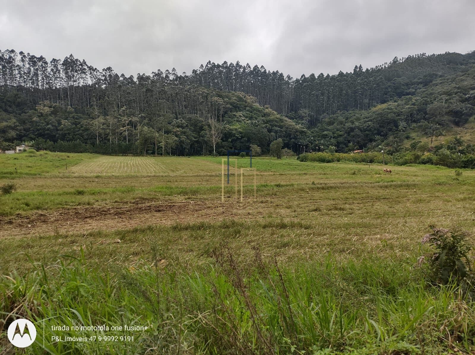 Terreno com 7.168m² no interior de Camboriú