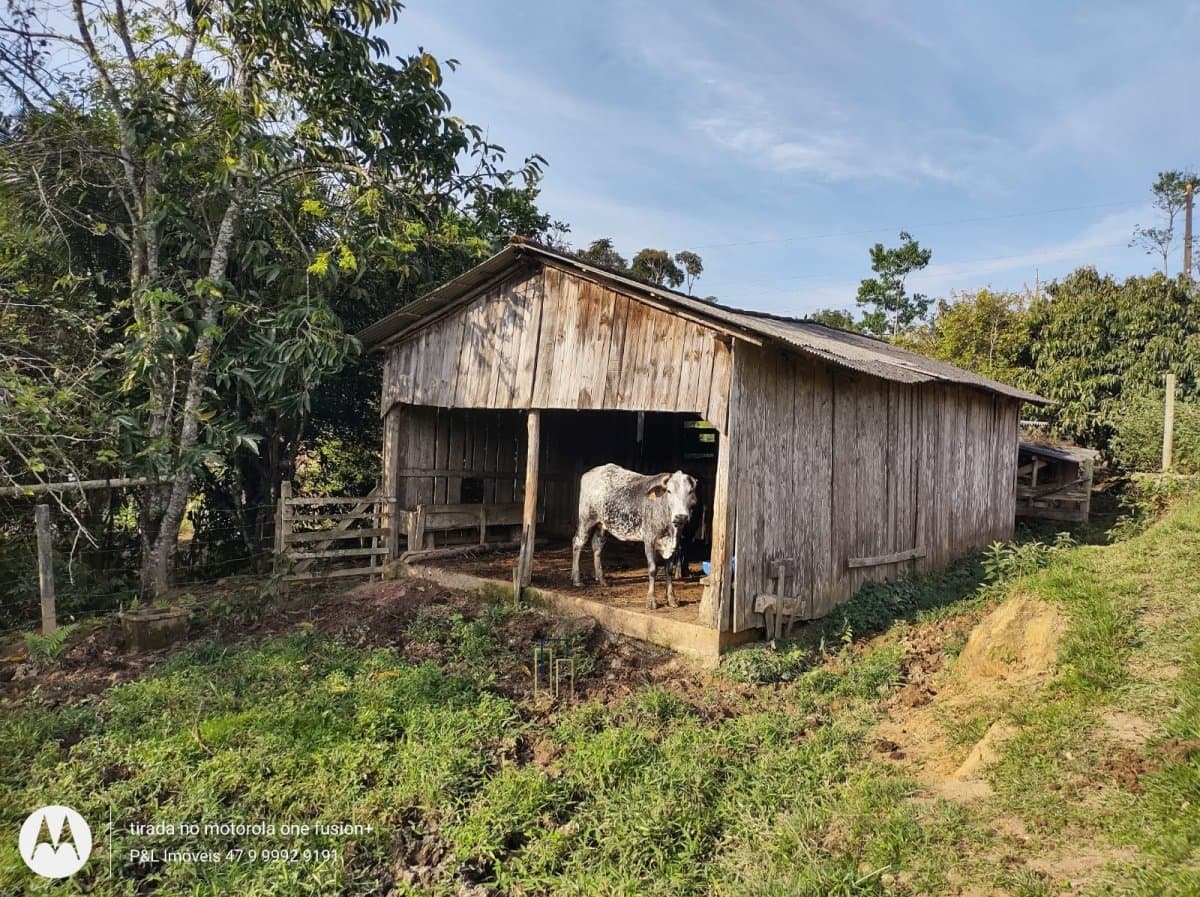 Sítio para Venda em Macucos Gaspar-SC