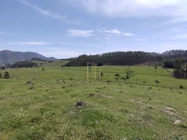Excelente área com 30ha plana em Canelinha!
