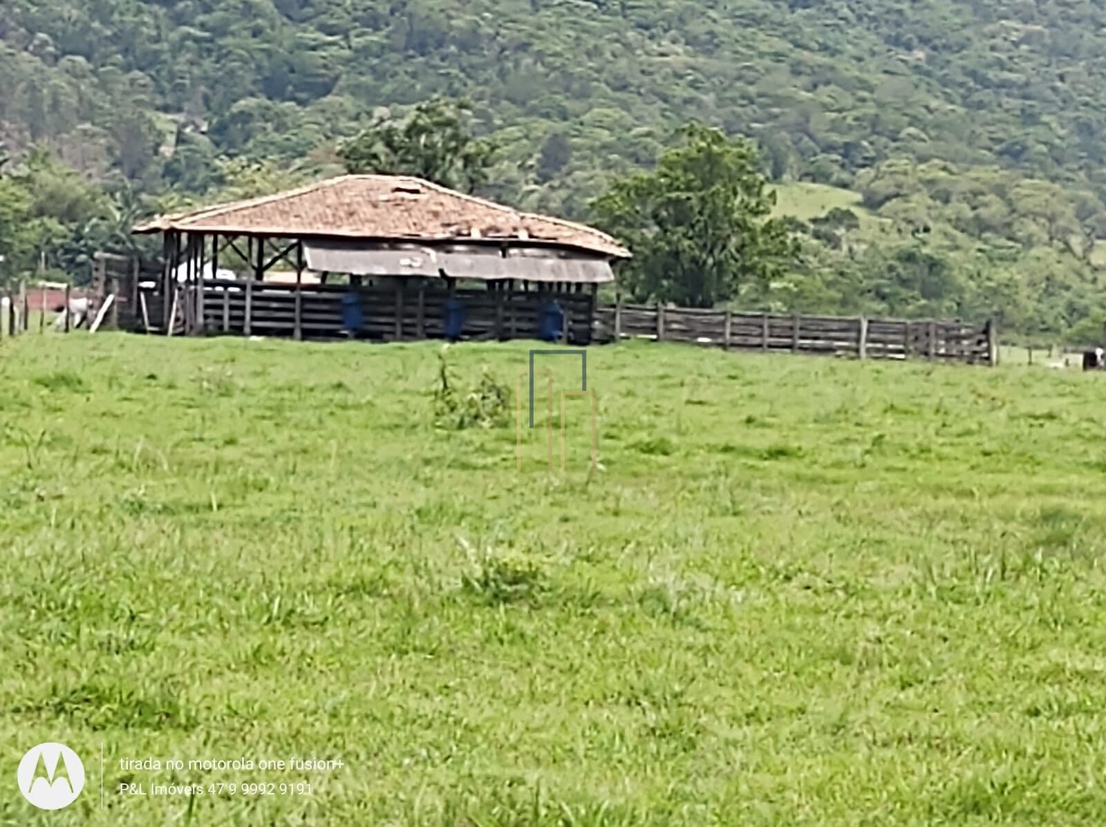 Excelente área rural, rica em água com 37ha em Tijucas!