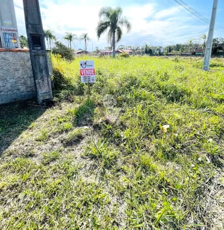 Lote/Terreno em São Francisco do Sul - Ervino