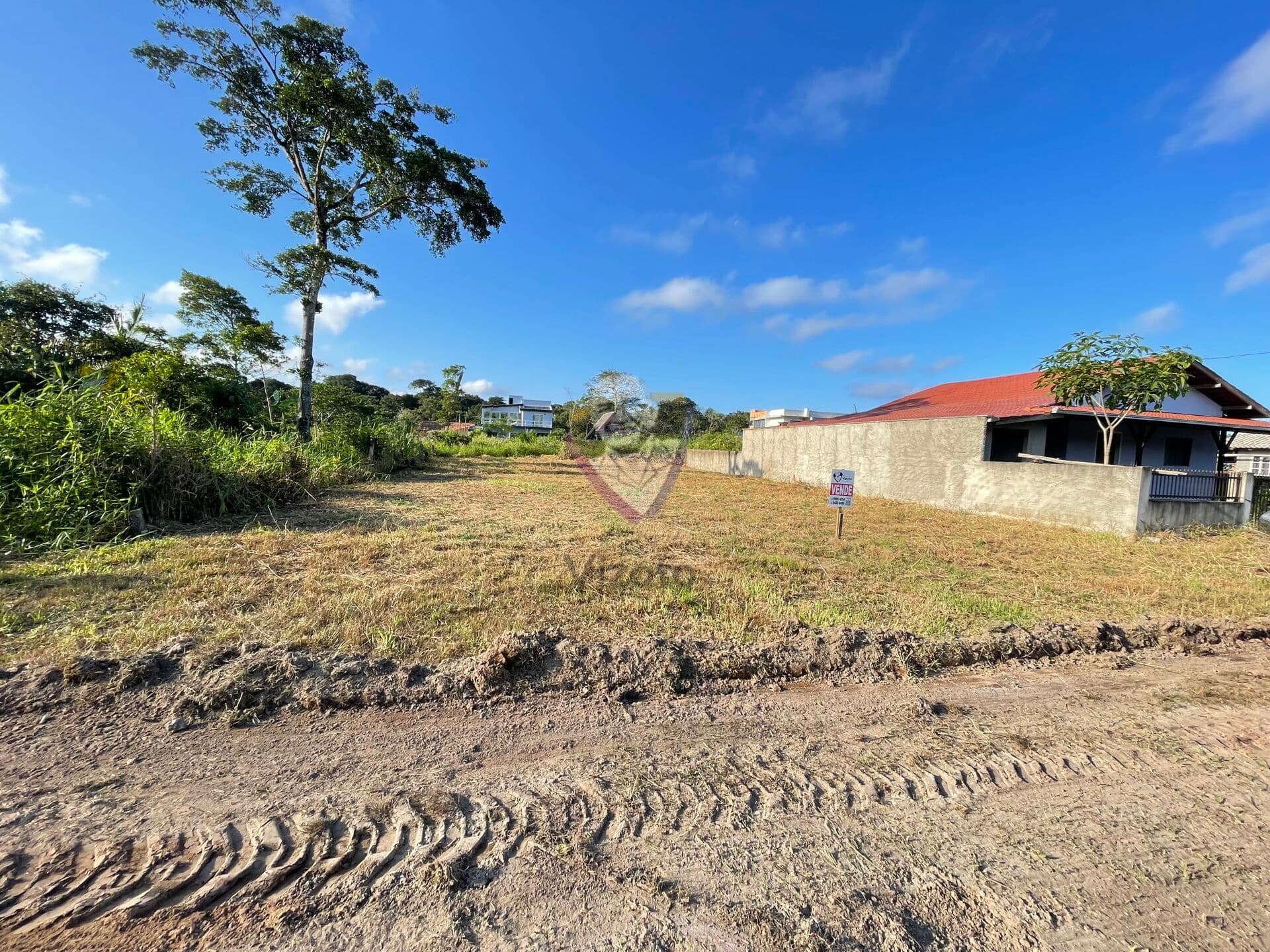 Lote Albatroz