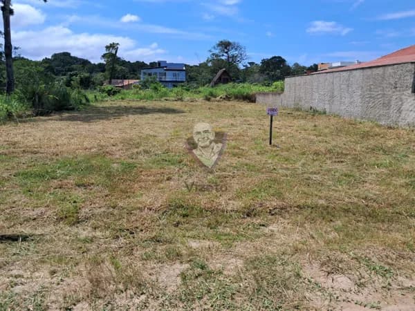 Lote Albatroz