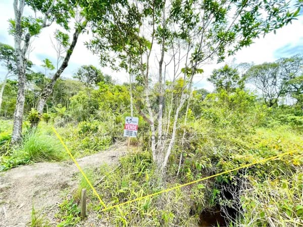 Lote/Terreno em São Francisco do Sul - Ervino