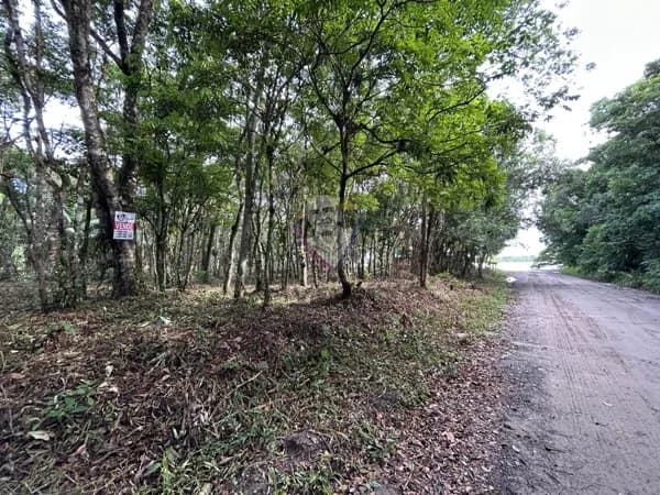 Fazenda/Sítios/Chácaras em São Francisco do Sul - Ervino
