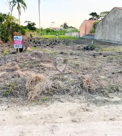Lote/Terreno em São Francisco do Sul - Ervino
