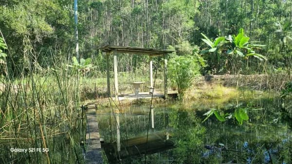 Fazenda/Sítios/Chácaras em Treze de Maio - Linha Mesquita