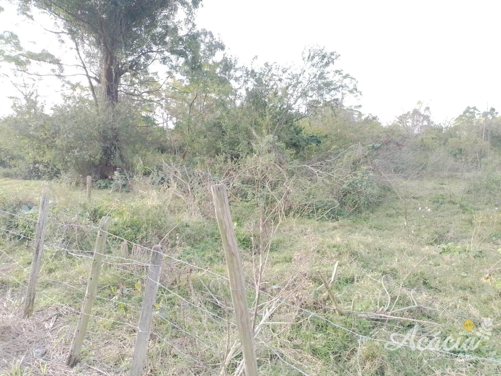 Excelente oportunidade de investimento! Terreno de 350
