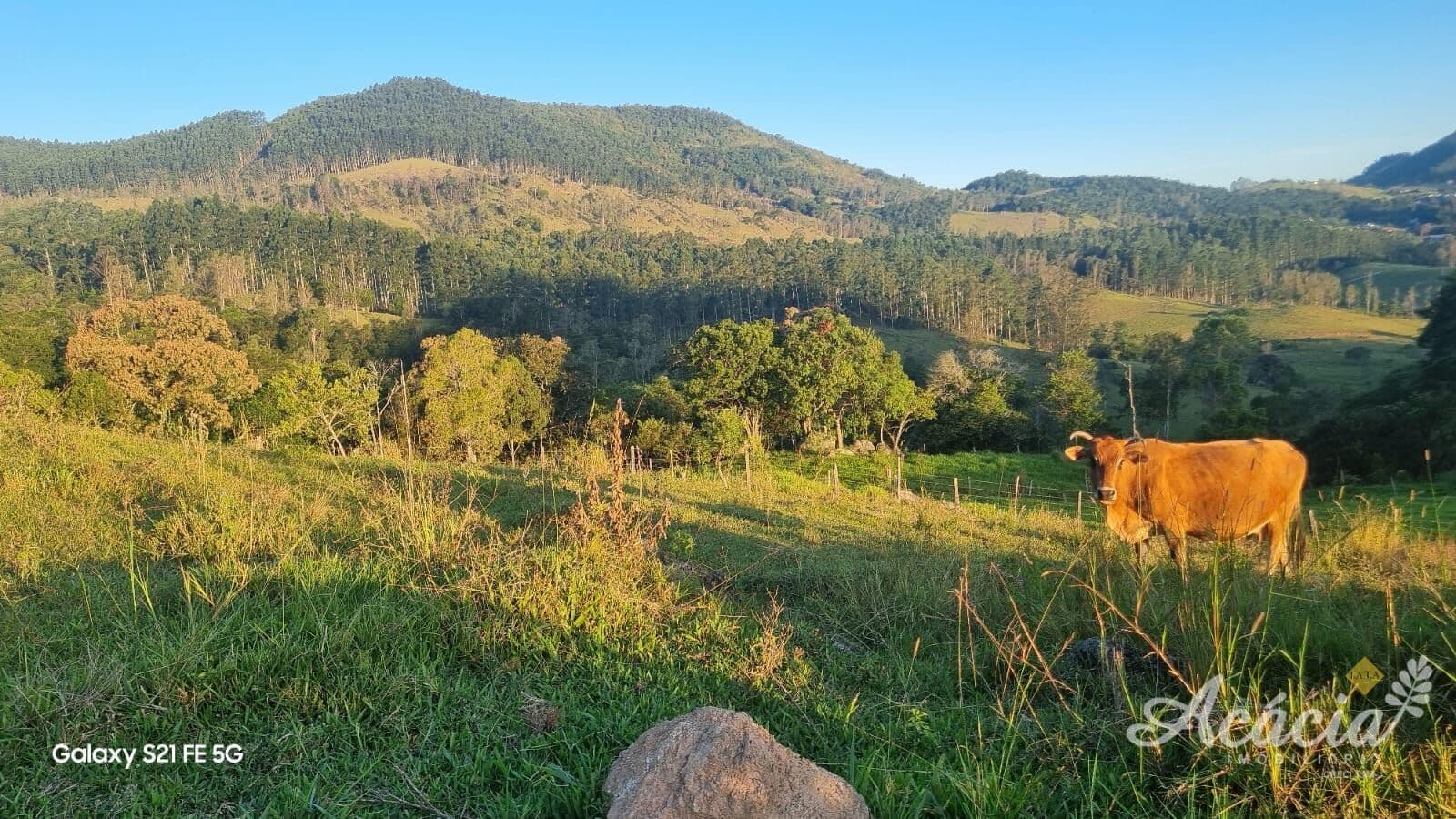 Sítio em Caruru, Tubarão/SC