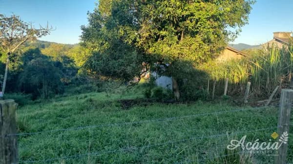 Fazenda/Sítios/Chácaras em Capivari de Baixo - Ilhotinha