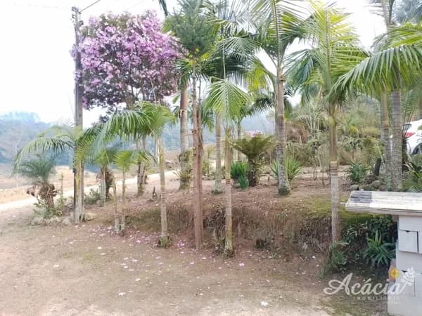 Sitio em Azambuja, Pedras Grandes/SC