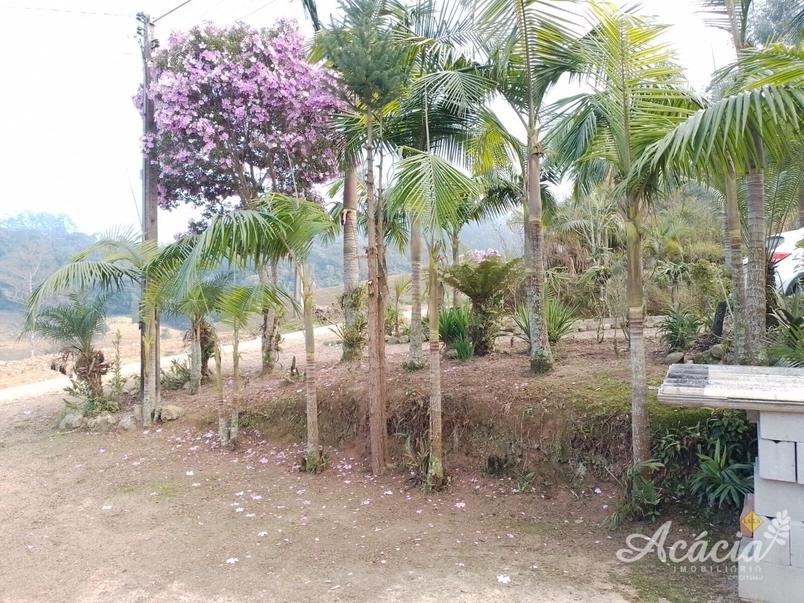 Sitio em Azambuja, Pedras Grandes/SC