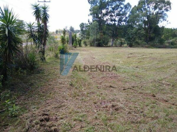 Lote/Terreno em São Gabriel - San Isidro